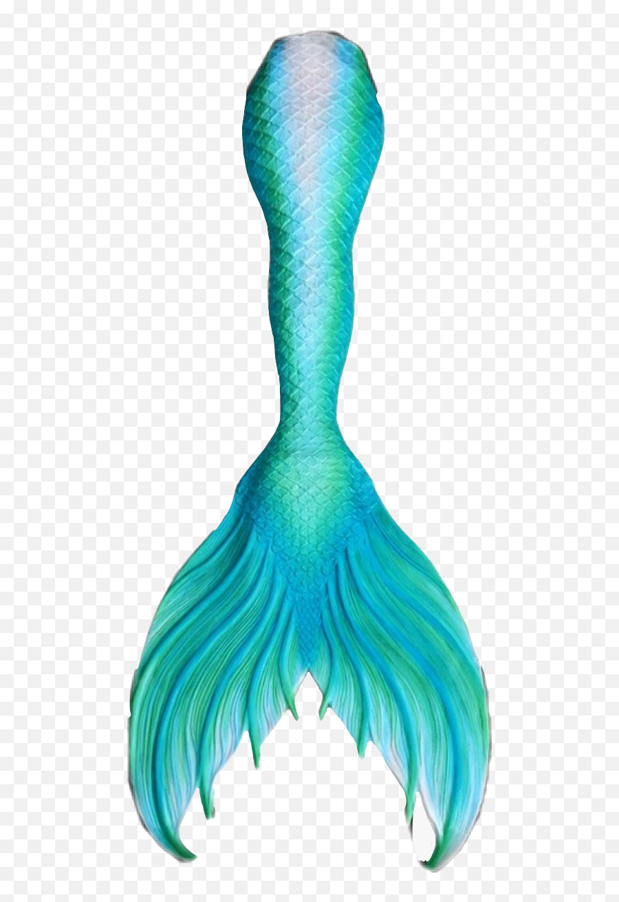 Fantasy Png Images - Transparent Mermaid Tail Png,Mermaid Tail Transparent Background