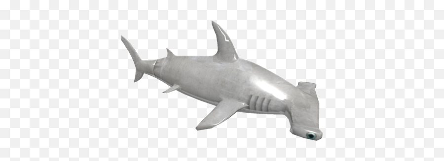 Hammerhead - Roblox Shark Bite Sharks Png,Hammerhead Shark Png