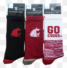 Png Download - Washington State University,Washington State Png