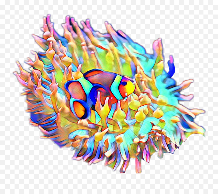 Fteseacreatures Anemone Clownfish Fish - Artistic Png,Clownfish Png