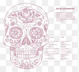 Wall Graphics For Schools Blueprint Wonderwall - Dot Png,Language Png