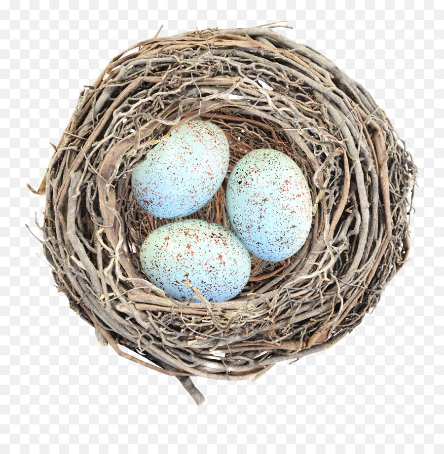 Download Nest Png Image With No - Nest Png,Nest Png
