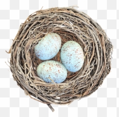 Download Nest Png Image With No - Nest Png,Nest Png