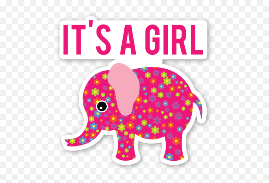 Baby Shower Its A Girl Png Transparent - Cant Take A Joke Quote,It's A Girl Png