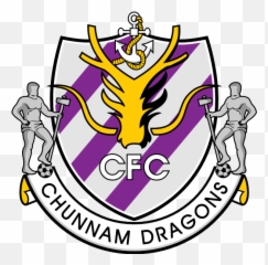 St George Illawarra Dragons Logo - Jeonnam png