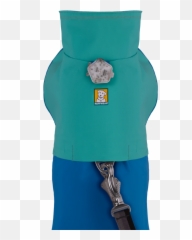 Sun Shower Dog Raincoat Png