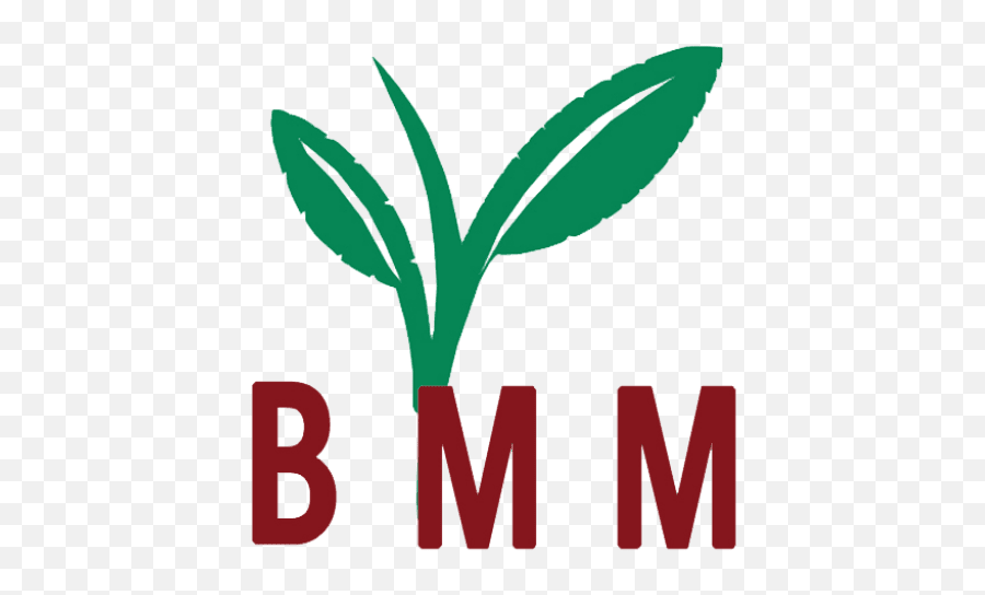 Cropped - Bmmsiteiconminpng U2013 Beyond Measure Market Language,Min Icon