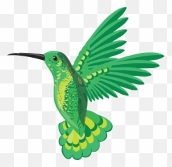 Free Png Hummingbird Humming Bird
