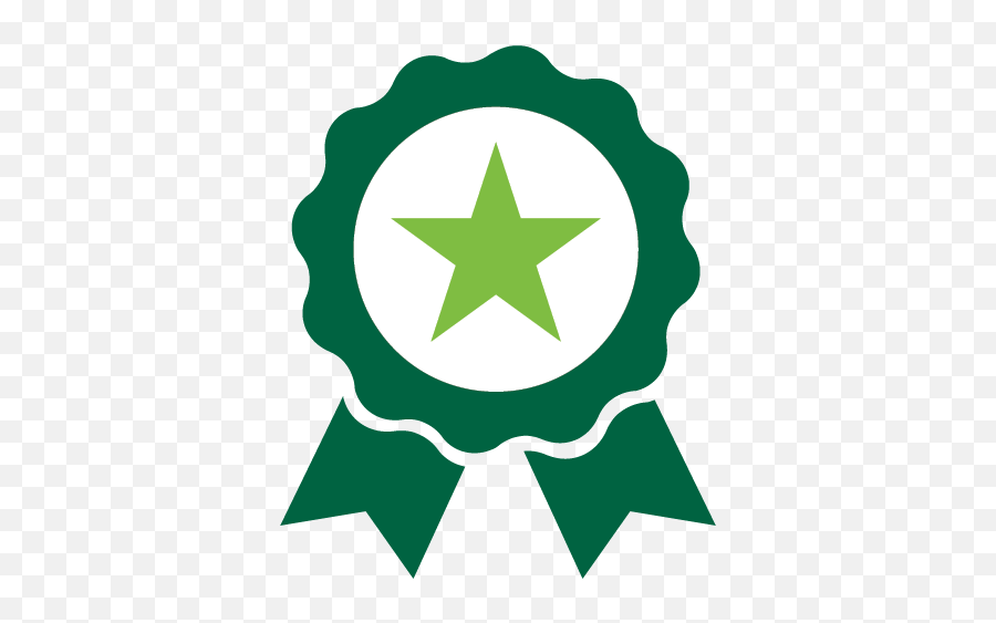 Presidentu0027s Award For Excellence In Shared Values - Human Official Google Reviews Logo Png,Achievement Icon Set