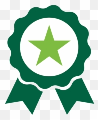 Presidentu0027s Award For Excellence In Shared Values - Human Official Google Reviews Logo png