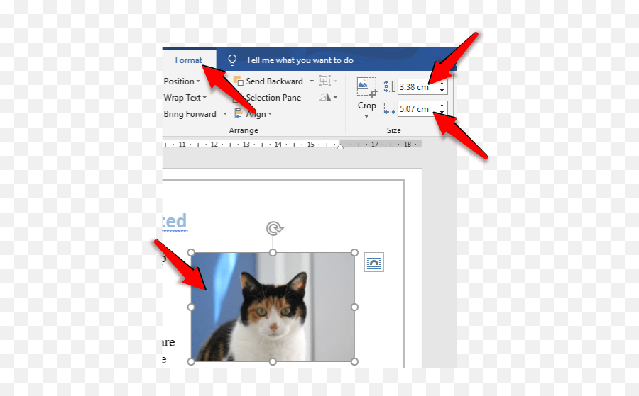 How To Resize An Image In Word - Officebeginner Vertical Png,Resize Corner Icon