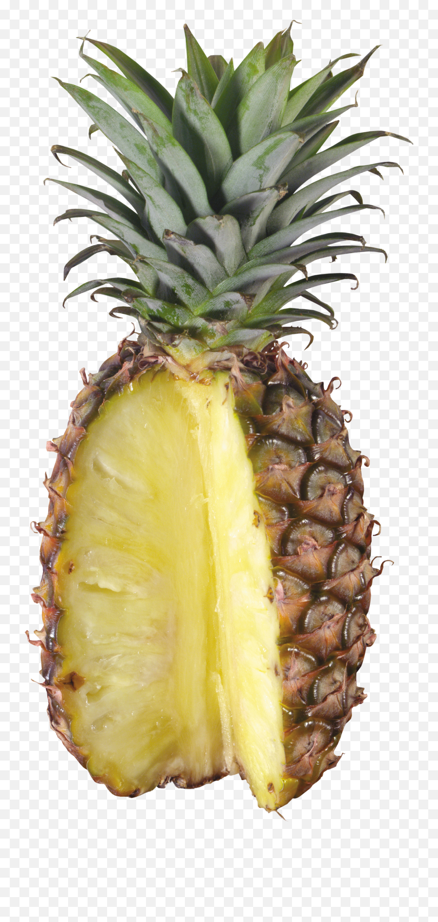 Pineapple Png Images Free Pictures Download - Kenwood Juice Extractor Jem500ss,Pinapple Png