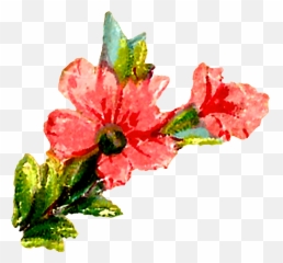 Antique Images Pastel Floral Clipart Digital Flowers Pink - Art png