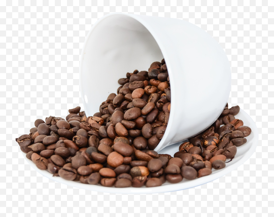 Download Coffee Beans Png Image For Free - Transparent Png Coffee Beans,Bean Png