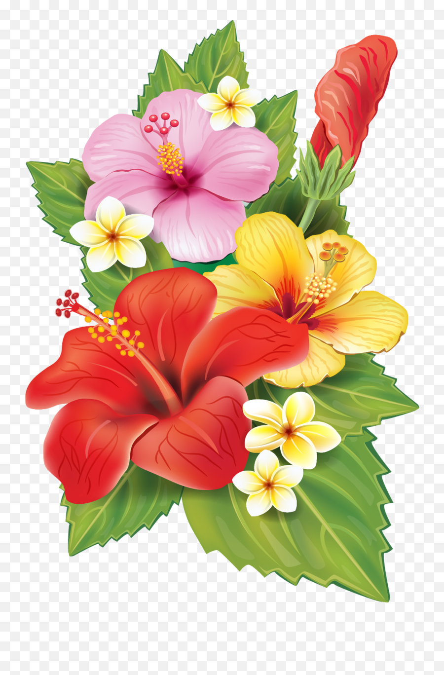 Tropical Flower Illustration Png Free - Transparent Background Tropical Flowers Png,Flower Illustration Png