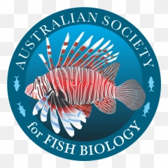 A Ray By Any Other Name U2014 Lateral Magazine - Australian Society For Fish Biology Png,Manta Ray Png