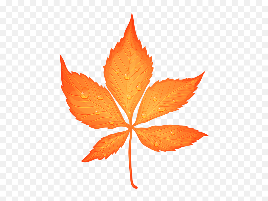 Autumn Leaf With Dew Drops Transparent Png Clip Art Image - Fall Leaf Transparent Background,Fall Png Images