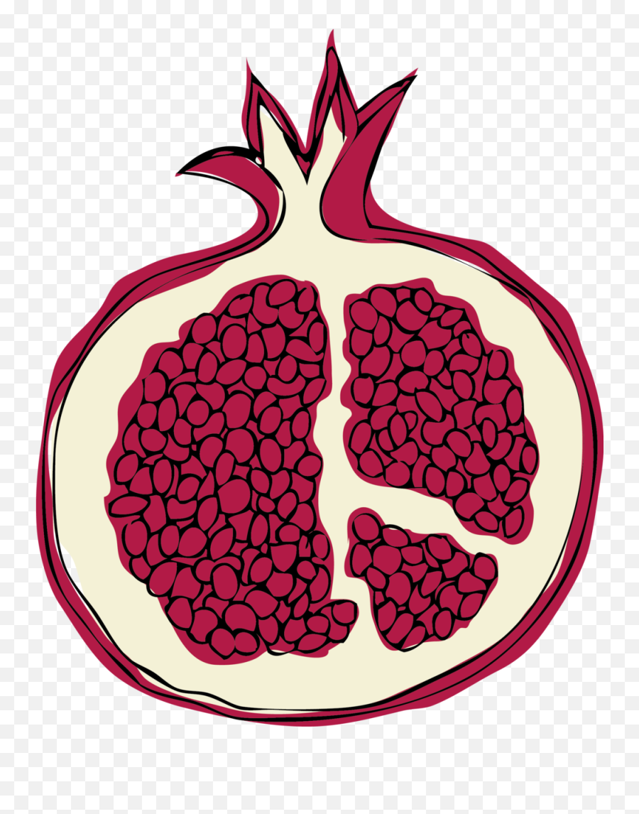 Illustration U2014 Sadira Gray Png Pomegranate