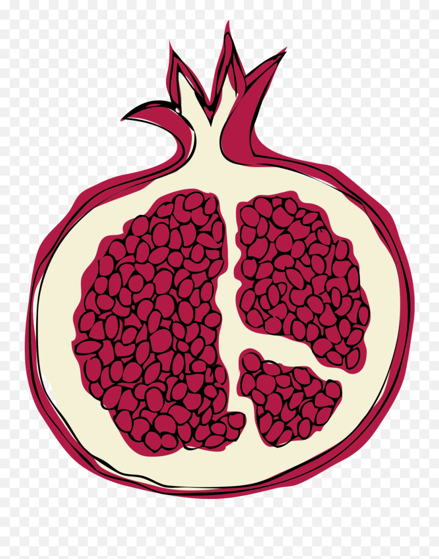 Illustration U2014 Sadira Gray Png Pomegranate Illustration U2014 Sadira Gray Png Pomegranate