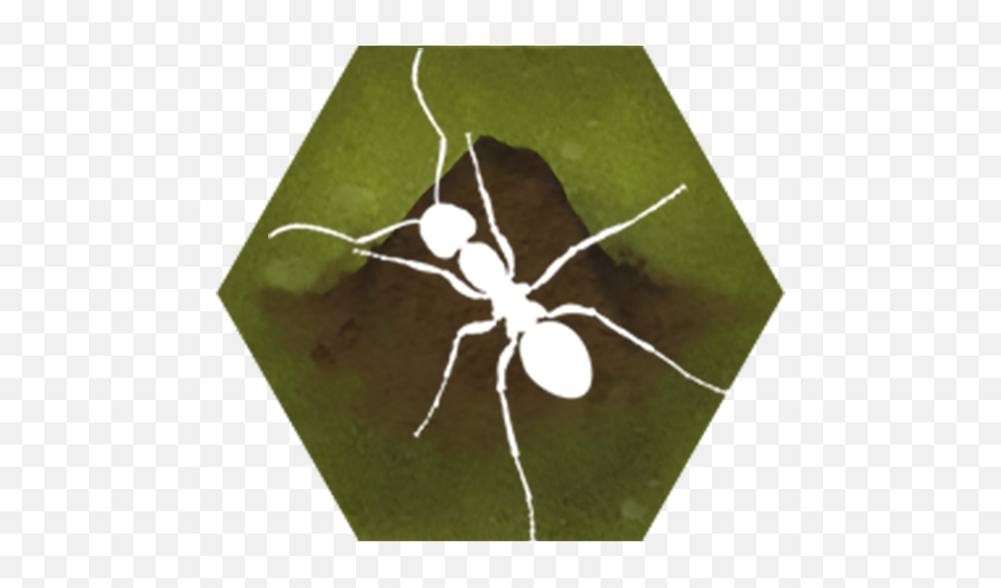 Download Finally Ants Apk For Android - Ant Png,Ants Png