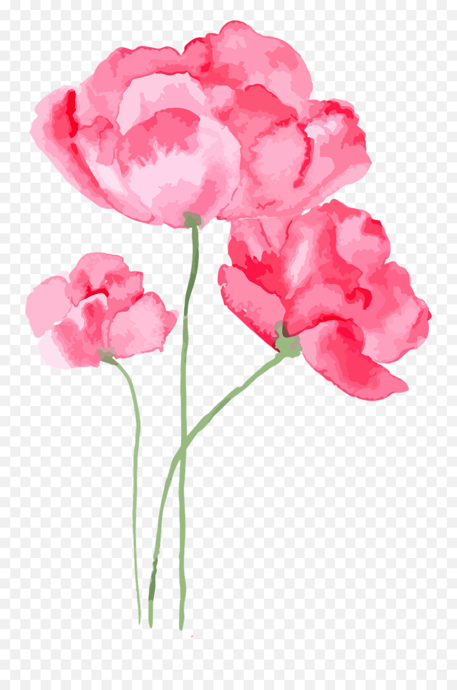 Watercolor Flowers Vector - 2020 Legjobb Ni Parfüm Png,Flower Vector Png
