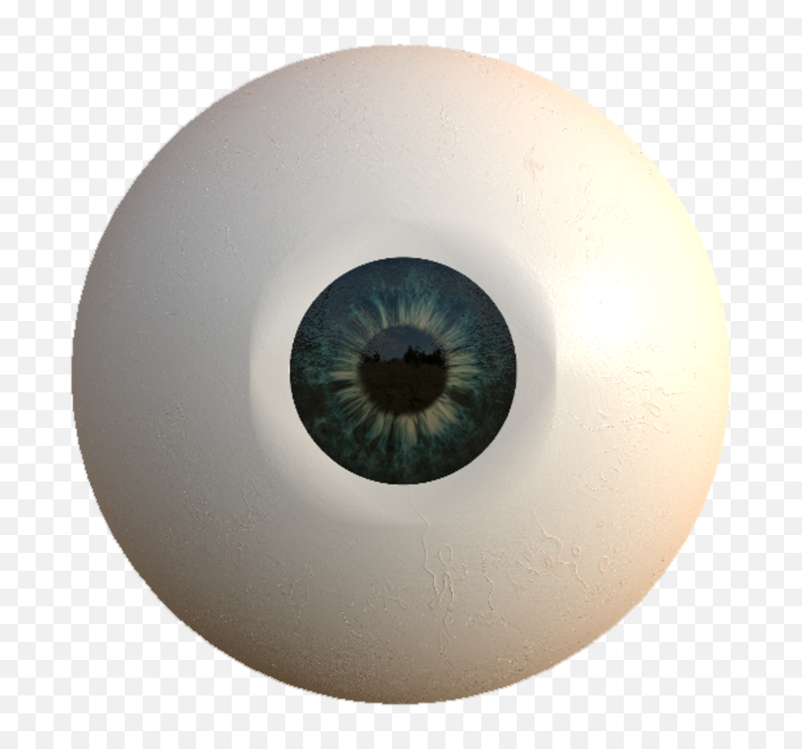 Download Eyeball - Circle Png,Eye Ball Png