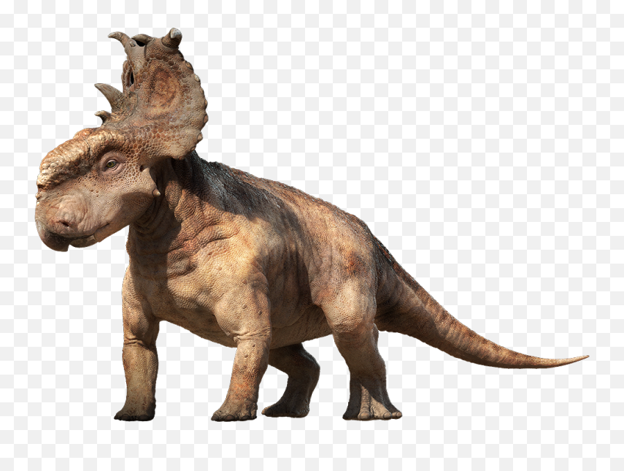 Dinosaur Png Image - Pachyrhinosaurus Dinosaurs,Transparent Dinosaur