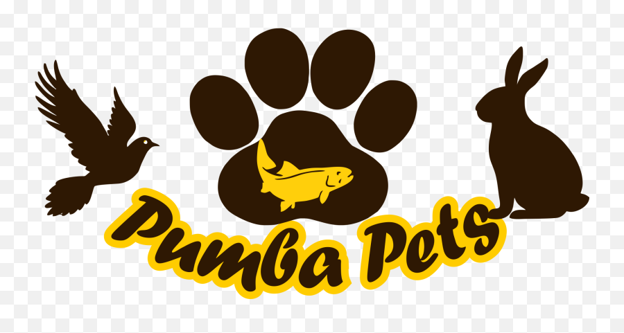 Pumba Pets Online Store - Paw Png,Pumba Png