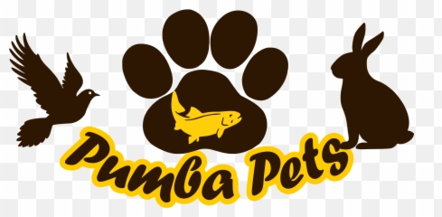 Pumba Pets Online Store - Paw Png,Pumba Png