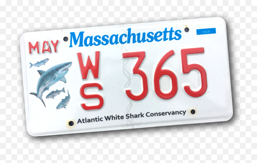 White Shark Conservancy License Plates - Massachusetts Shark License Plate Png,License Plate Png
