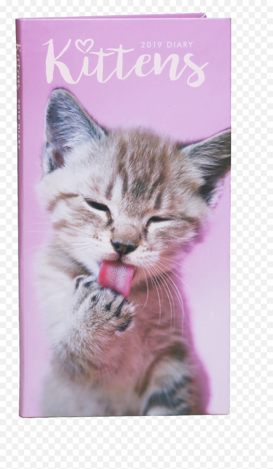 Cute Kitten Png - 2019 Kitten Slim Diary Kitten Licking Cat Yawns,Kitten Png