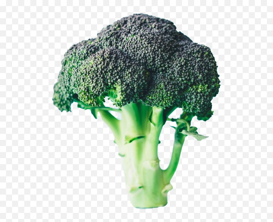 Download Green Broccoli Background Png - Many Oz In Broccoli,Broccoli Png