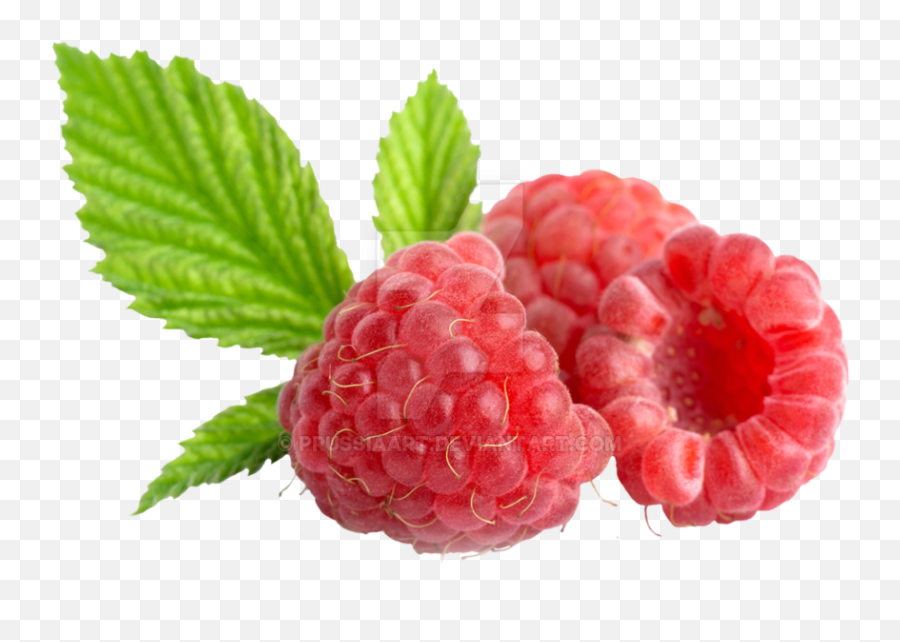 Download Hd Raspberry Png - Raspberry And Cranberry Png,Raspberry Png
