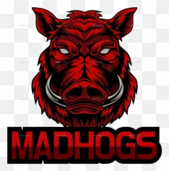 Angry Hog Logo For E - Hog Logo Png,Hog Png