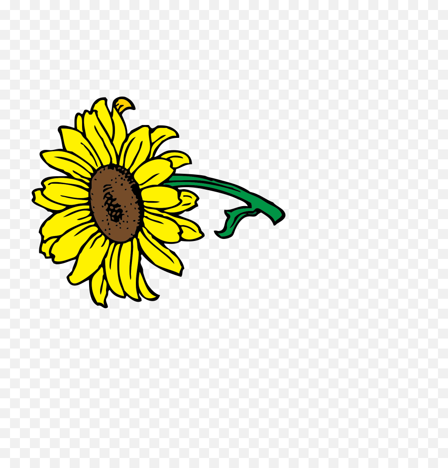 Sunflower Clip Art - Clip Art Png,Sunflower Clipart Png