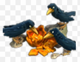 Congress Of Ravens Png