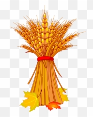 Wheat Icon Png - Bundle Of Clipart