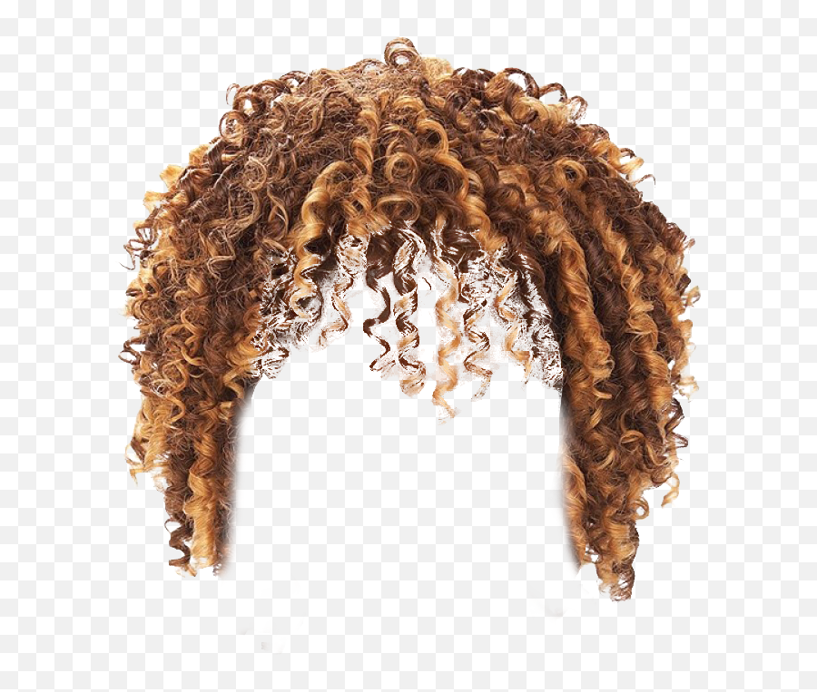 Download Afro Hair Free Png Transparent Image And Clipart - Curly Hair Transparent Background,Wigs Png