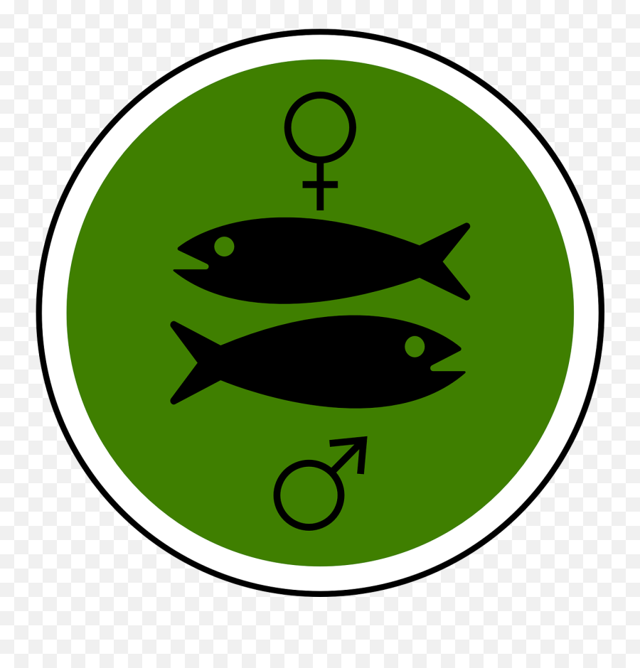Male Female Fish Circle Green Png Picpng - Female And Male Fish Illustratioj,Male Female Icon Png