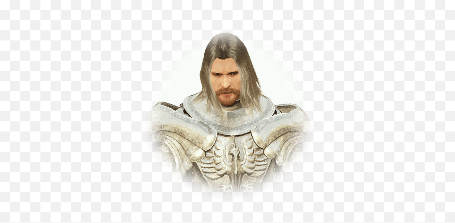 Valks - Bdo Codex Black Desert Online Valks Png,Bdo Icon