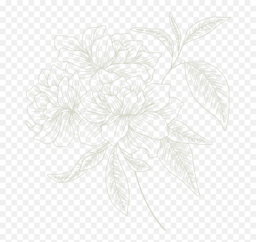 For Photographers - Sketch Png,Plant Icon Tumblr