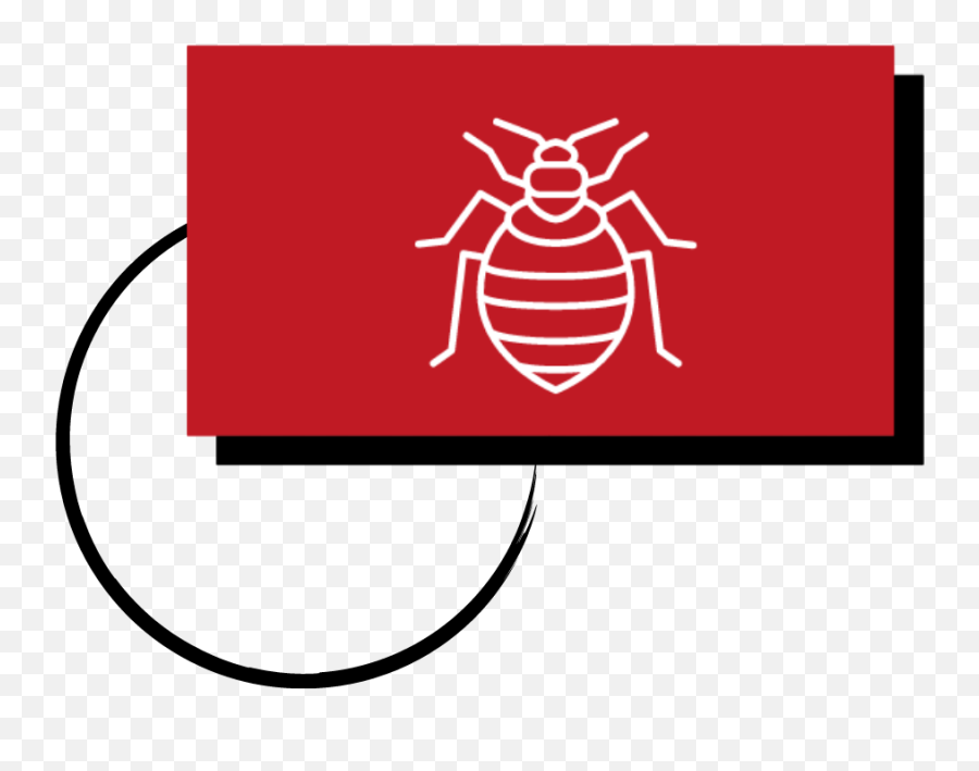 Wabashu0027s 1 Rated Bed Bug Control Company - Parasitism Png,Bug Icon Free