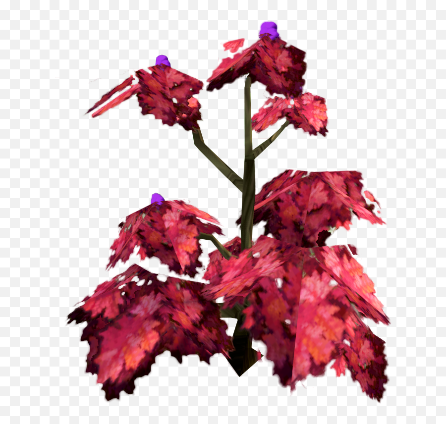 Rumberry Bush - The Runescape Wiki Orchid Png,Bushes Transparent