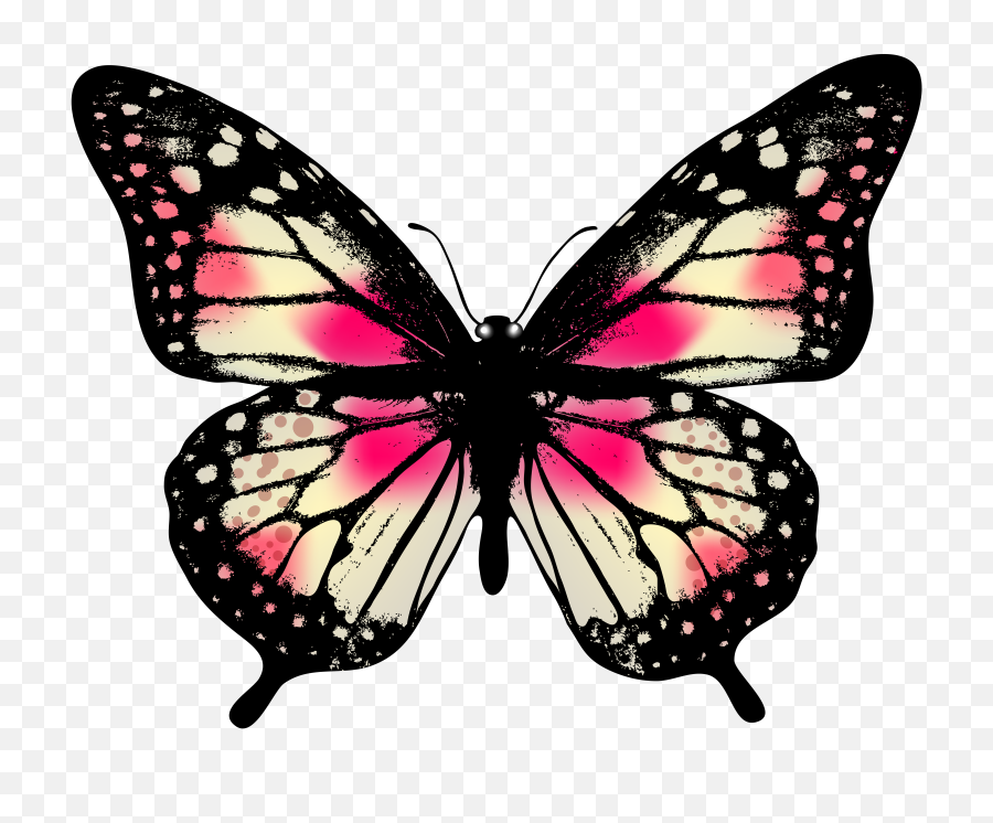 Large Pink Butterfly Png Clip Art Image - Real Life Real Butterflies,Butterfly Tattoo Png