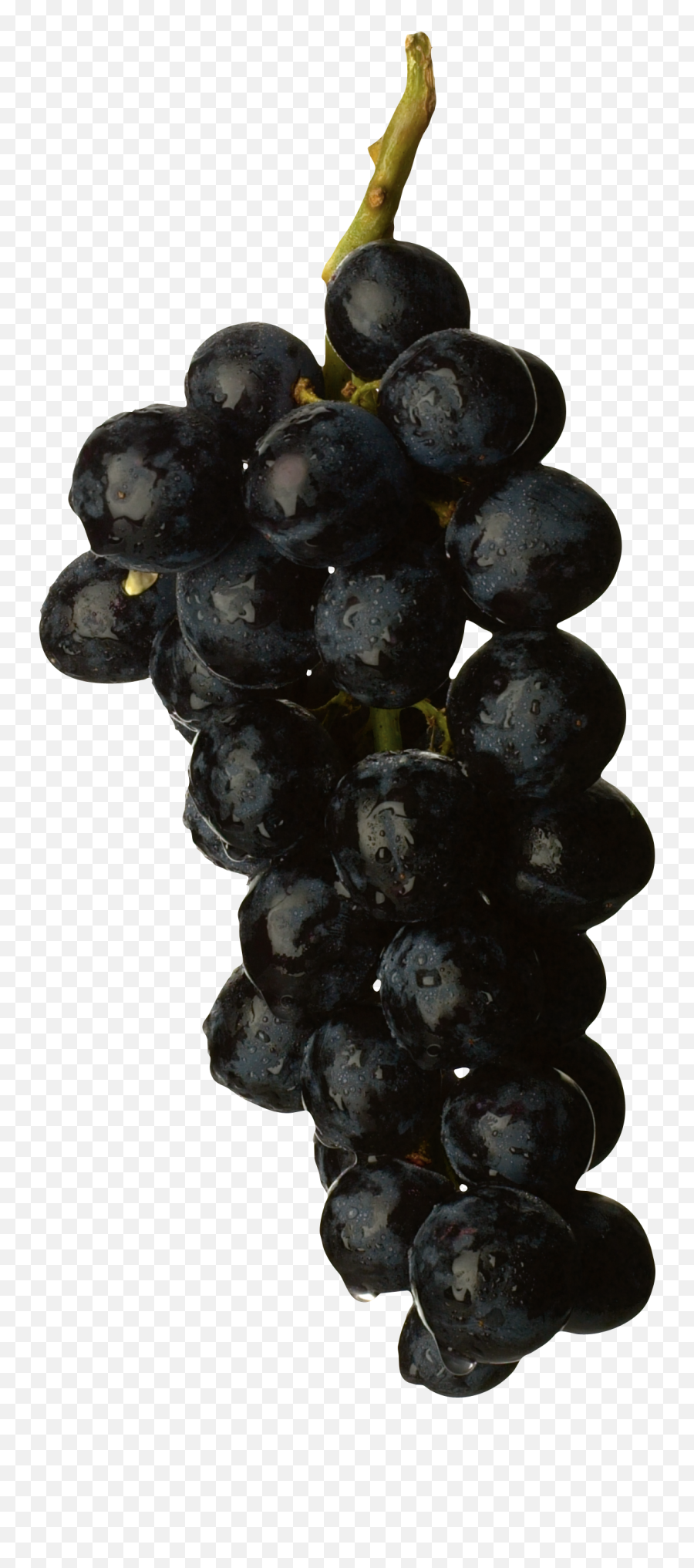 Grapes Png Image Black Free - Grape,Grapes Png