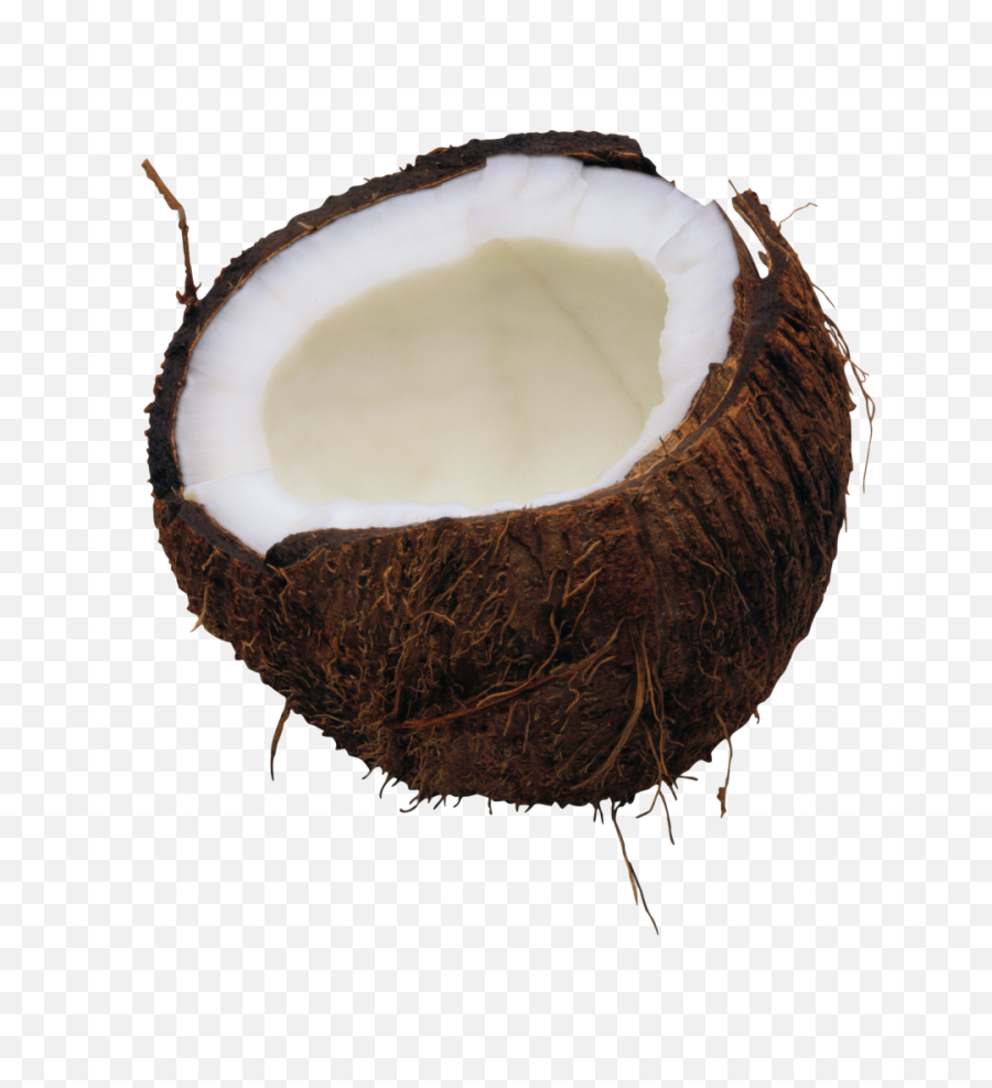 Coconut Png Image - Clipart Transparent Background Coconut,Coconut Png