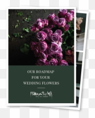Wedding Flowers Png - Floribunda,Wedding Flowers Png