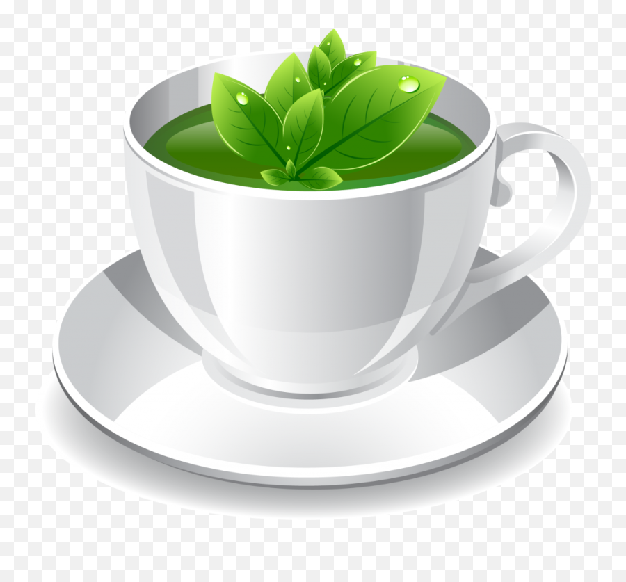 Download Green Tea Png Photo - Green Tea Cup Illustration,Tea Png