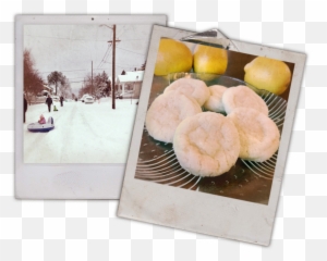 Lemon Cornmeal Cake U2013 Bushel And A Plate - Cruller Png,Plate Of Cookies Png