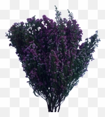 Flower Bush Png - Portable Network Graphics